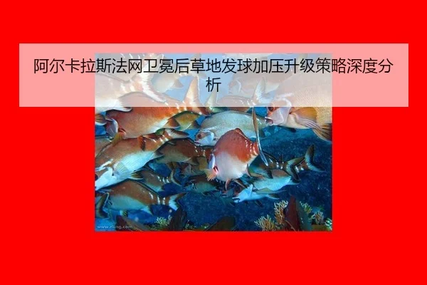 阿尔卡拉斯法网卫冕后草地发球加压升级策略深度分析
